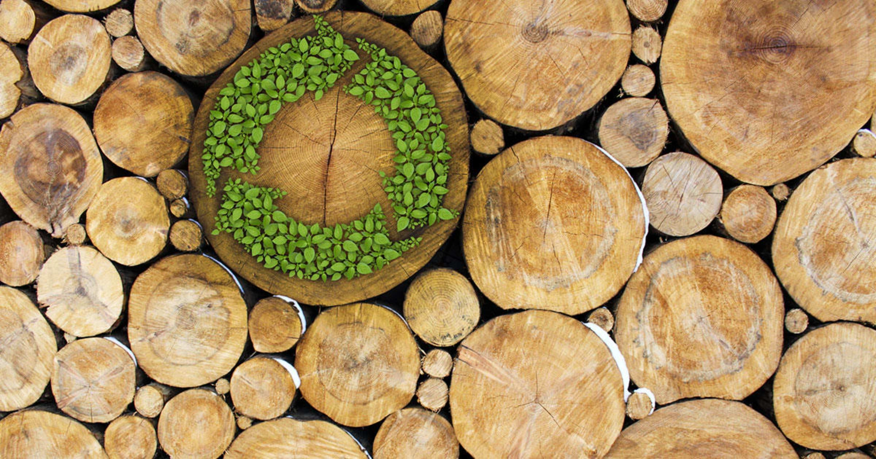 Sustainable Materials in Bespoke Furniture: What We Use and Why
