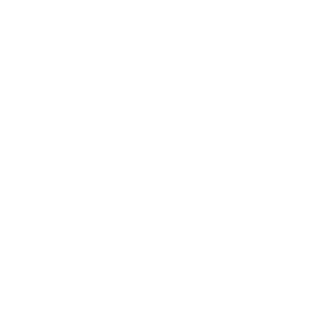 ICO Logo White